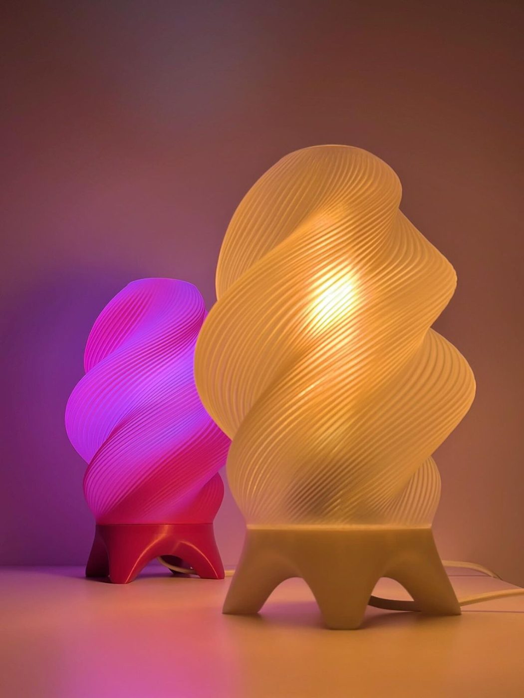Lamp of fungus